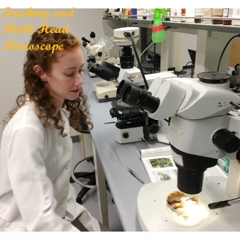 Teaching and Multi Head Microscope